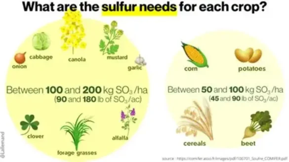 Different Types of Sulfur for Industrial and Agricultural Use