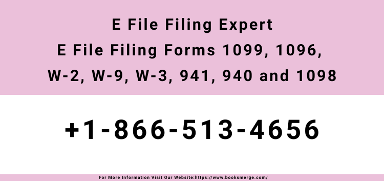 E File Filing Expert E File Filing Forms 1099, 1096, W-2, W-9, W-3, 941, 940 and 1098