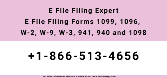 E File Filing Expert E File Filing Forms 1099, 1096, W-2, W-9, W-3, 941, 940 and 1098