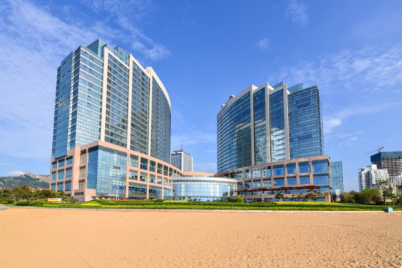 business setup consultants in dubai​