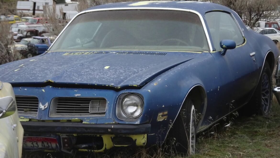 cash for scrap cars melbourne