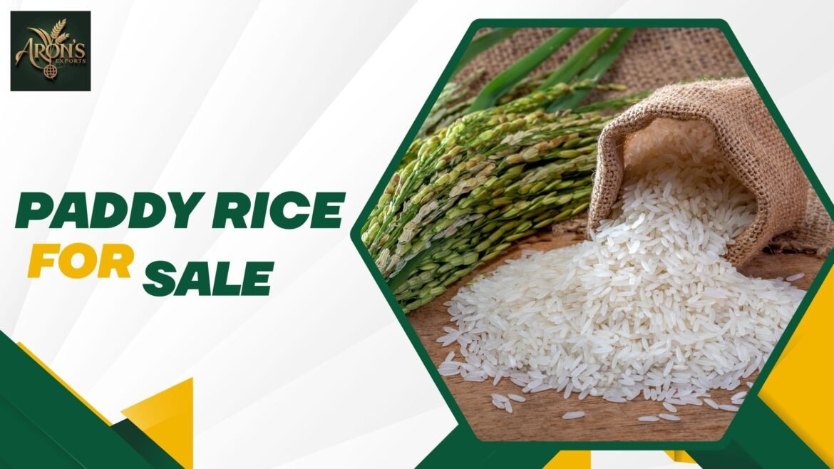paddy rice for sale