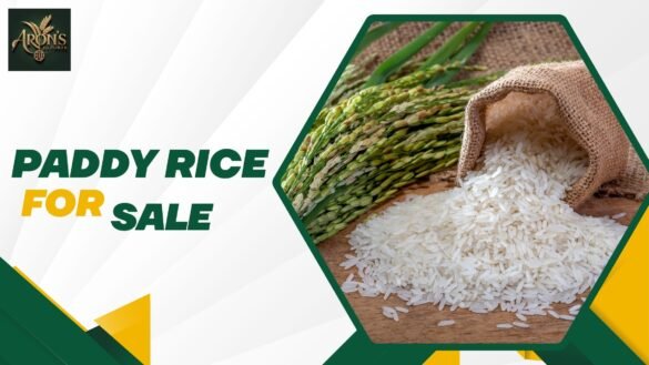 paddy rice for sale