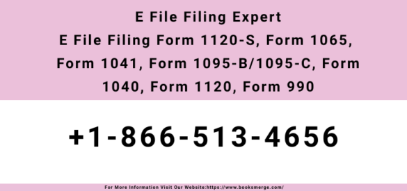 E File Filing Expert E File Filing Form 1120-S, Form 1065, Form 1041, Form 1095-B1095-C, Form 1040, Form 1120, Form 990